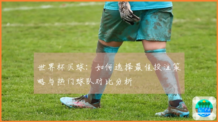 世界杯买球：如何选择最佳投注策略与热门球队对比分析