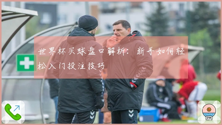 世界杯买球盘口解析：新手如何轻松入门投注技巧