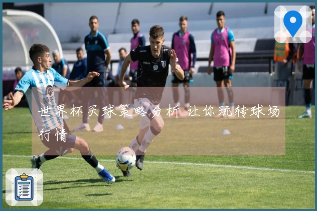 世界杯买球策略分析 让你玩转球场行情