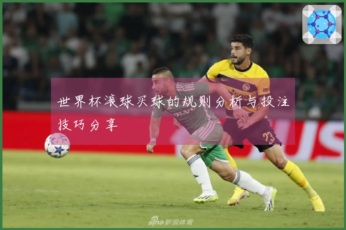 世界杯滚球买球的规则分析与投注技巧分享