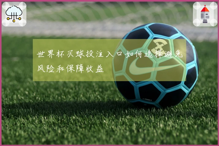 世界杯买球投注入口如何选择避免风险和保障收益