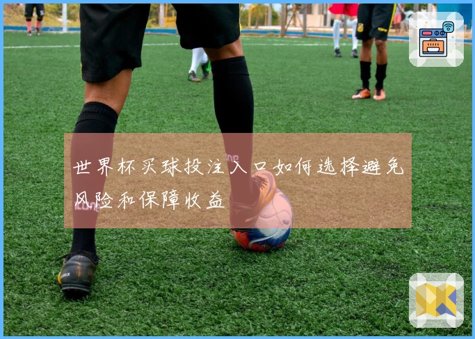 世界杯买球投注入口如何选择避免风险和保障收益